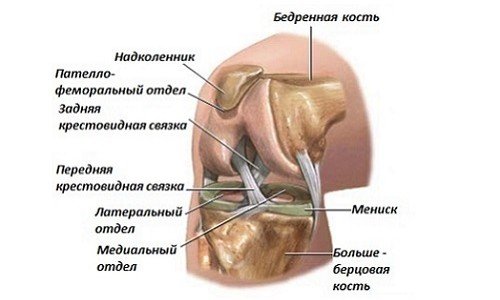 Артроскопія колінного суглоба: операція і відновлення