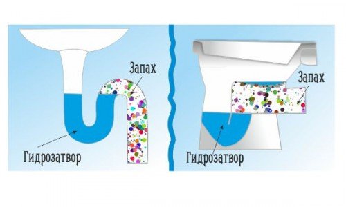 Як позбавитися від запаху каналізації в квартирі