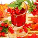 Шипшина при вагітності Шипшина при вагітності