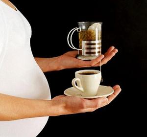 Нирковий чай або листя брусниці? Що краще при вагітності?