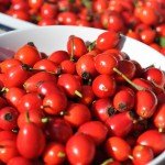 Шипшина при вагітності Шипшина при вагітності