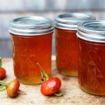 Шипшина при вагітності Шипшина при вагітності