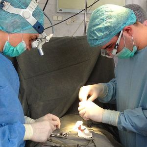Операція мармара при варикоцеле: техніка проведення та ускладнення