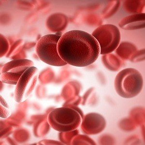 Підвищені моноцити у дитини в крові: причини відхилення від норми.