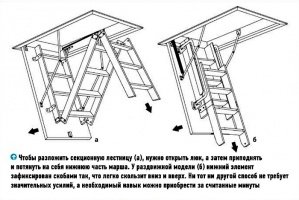 Види сходів на горище: розкладне, гвинтові, сходи люк