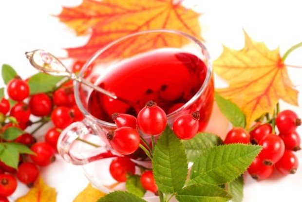 Шипшина при вагітності Шипшина при вагітності