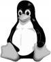 Поради починаючому «Пингвиноводу» Або з чого починається Linux