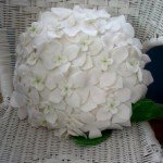 Подушки квіти | Подушка троянда, ромашка, мак