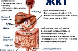 Операція Гартмана