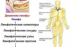 Операція Крайля