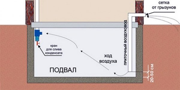 Вентиляція в підвалі приватного будинку