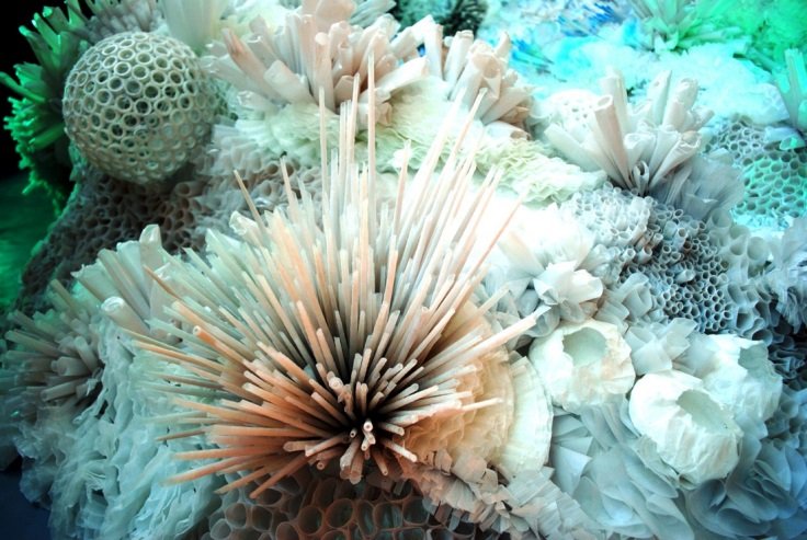 Прикраси з корала | Срібні прикраси з коралом