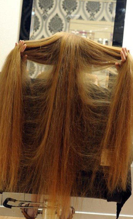 Найдовші волосся книга рекордів гіннеса
