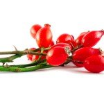 Шипшина при вагітності Шипшина при вагітності