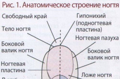 Гелеве нарощування: як відновити нігті після зняття?