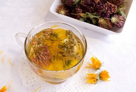 Трава любисток властивості та застосування