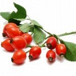 Шипшина при вагітності Шипшина при вагітності