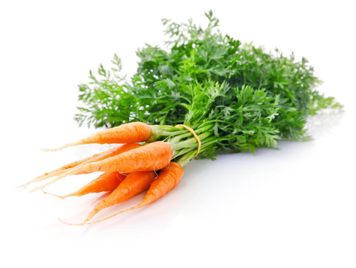 Бадилля моркви від геморою