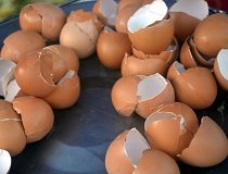 Яєчна шкаралупа користь і шкоду для людини