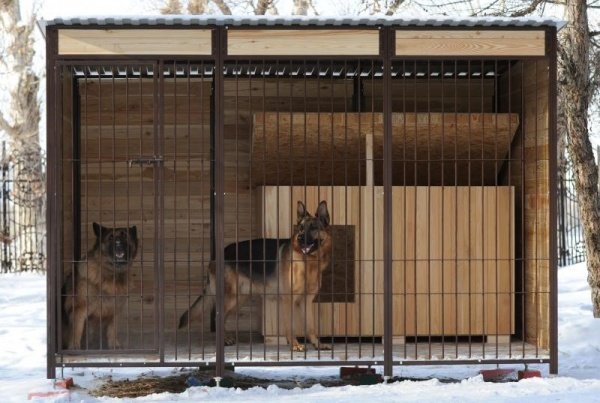 Як зробити вольєр для собаки своїми руками: розміри, креслення