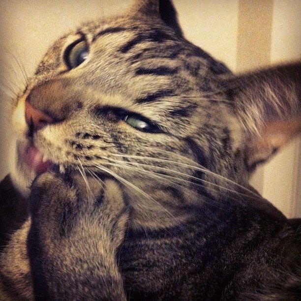 Як перестати гризти нігті | Як перестати гризти нігті дітям Як перестати гризти нігті | Як перестати гризти нігті дітям