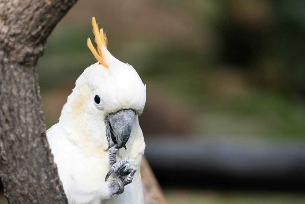 Як перестати гризти нігті | Як перестати гризти нігті дітям Як перестати гризти нігті | Як перестати гризти нігті дітям