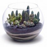 Круглий акваріум | Маленький круглий акваріум