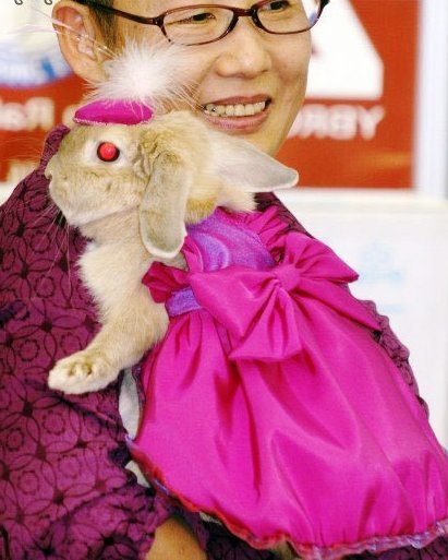 Одяг для кроликів