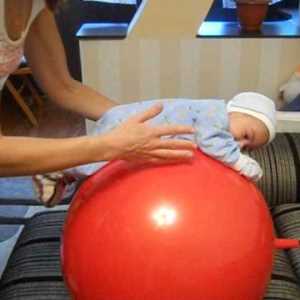 Фітбол для немовлят   комплекс вправ для правильної організації занять. Думка педіатрів про процедуру.