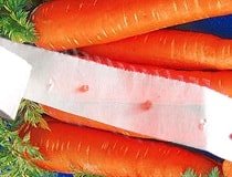 Насіння моркви на туалетному папері або на стрічці
