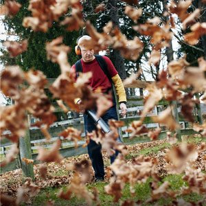 Садовий пилосос для листів: допомога вам у прибиранні саду і городу восени