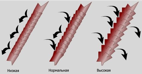 Пористі волосся: як повернути здоровя і красу своїм локонам?