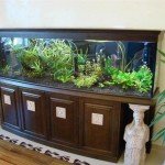 Круглий акваріум | Маленький круглий акваріум