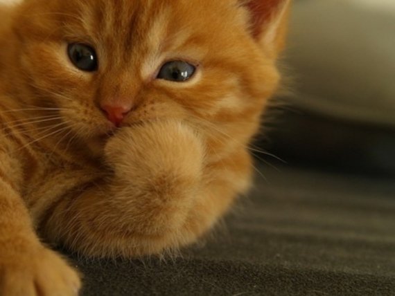 Як перестати гризти нігті | Як перестати гризти нігті дітям Як перестати гризти нігті | Як перестати гризти нігті дітям