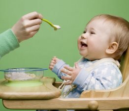 Введення прикорму при штучному вигодовуванні   які продукти краще?