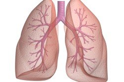 Операції на легенях: види, ускладнення та реабілітація