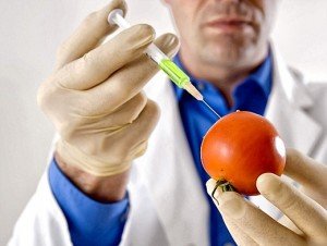 Топ 20 найбільш небезпечних для здоровя продуктів