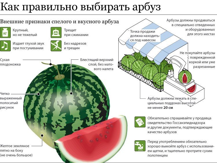 Поради по вибори смачного кавуна