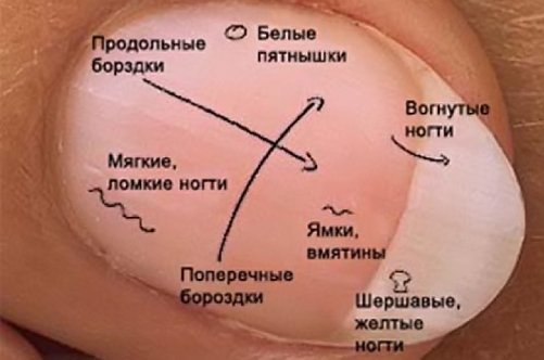 Все про те, як ростуть нігті!