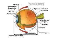 Операція на сітківці ока і її наслідки