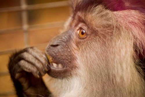 Як перестати гризти нігті | Як перестати гризти нігті дітям Як перестати гризти нігті | Як перестати гризти нігті дітям