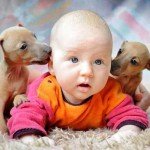 Гарні імена для дівчаток | Яке найкрасивіше імя дівчинки