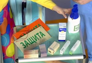 Як виглядає коростяний кліщ: фото, як позбавитися, укуси, лікування