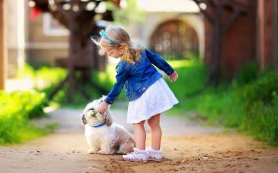 Щеплення від сказу собаки може врятувати життя вихованця