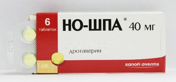 Спазми живота у кішки: причини і лікування