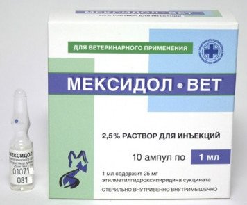 Мексидол для собак: призначення і способи застосування