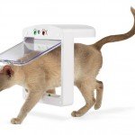 Двері для кішки : типи проходів для тварин