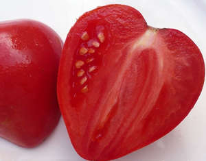 Опис сорти томата Мазаріні з фото