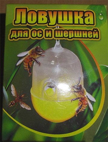 Пастка для шершнів і ос