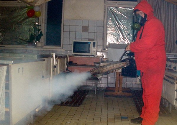 Димові шашки від тарганів та відгуки про їх застосування: яку купити?